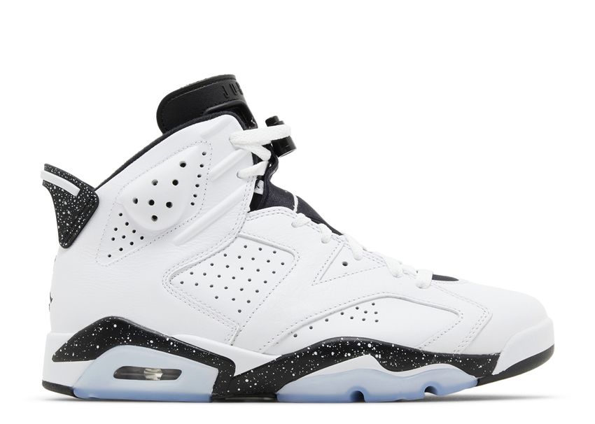 Air Jordan 6